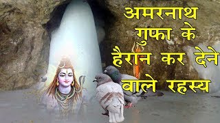 अमरनाथ की गुफा मे दो कबूतरों का रहस्य Amarnath Cave Mystery [upl. by Eicyak]