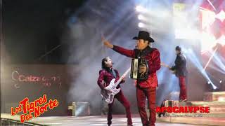 Los Tigres Del Norte  El Avión de la Muerte  En Vivo [upl. by Jacobo]