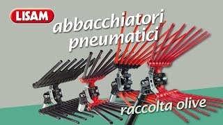 Abbacchiatori pneumatici Lisam  I fantastici 4 [upl. by Ailesor613]