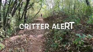 Cuyuna State Park MTB Sandhog Trail MN [upl. by Nagol]