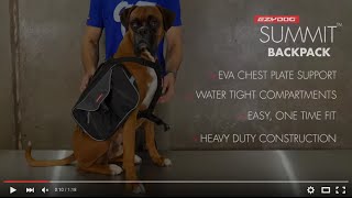 How to fit a Dog Backpack  EzyDog Summit Backpack [upl. by Amyas350]