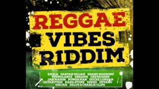 REGGAE VIBES RIDDIM Warriors Musick Production 2015 Mix Slyck [upl. by Houston173]