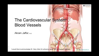 ANAT101026Blood vessels [upl. by Donelu]