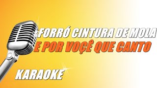 Forró Cintura De Mola  E Por Voçê Que Canto Karaoke [upl. by Presber]