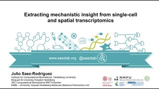 SCOG Virtual Lecture Series  Julio SaezRodriguez Heidelberg University [upl. by Eissirc]