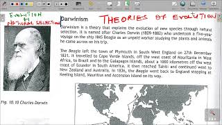 GRADE 12 LIFE SCIENCES THEORIES OF EVOLUTION [upl. by Nishom]