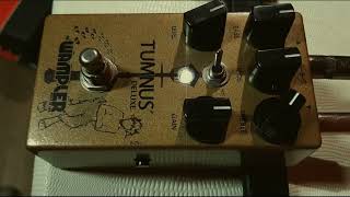 Wampler Tumnus deluxe  Marshall JCM800 2204 Part 1 rhythmic [upl. by Vassell931]