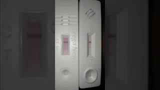 12DPO PREGNANCY TEST  PREGNANCY TEST 4 DAYS BEFORE MISSED PERIOD [upl. by Hausmann]