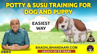 How to Potty amp Susu Pee Training Puppy or Adult Dog at Home  Indoor or Outdoor  Baadal Bhandaari [upl. by Champaigne]