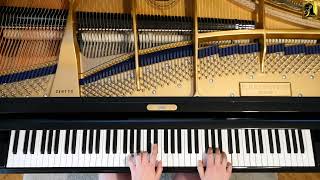 Sonate aMoll Scarlatti K149 L93 CBechstein A228 [upl. by Hiasi908]