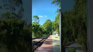 Lovedale railway station ootty toytrain tamilnadutourism [upl. by Enitsirt]