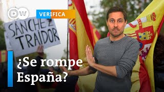 DW Verifica si ley de amnistía atenta contra la democracia en España [upl. by Marmion]