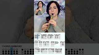 Easy Tin Whistle Songs  The Rattlin Bog [upl. by Raffaello]