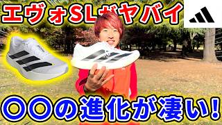 【最新作】AdidasのエヴォSLが凄すぎる…！！ [upl. by Nina]