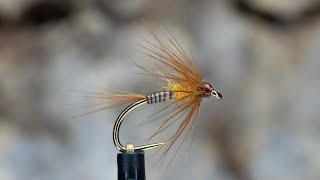 Quill Bodied Cruncher [upl. by Akkin]