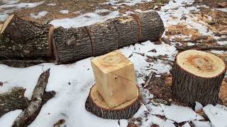 Splitting a huge Gum tree for fire wood how easy should it be [upl. by Etteloiv]