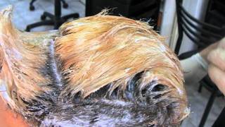 Short Hair Bleaching Part Two  Decoloración Segunda Parte Cabello Corto [upl. by Anitsihc]