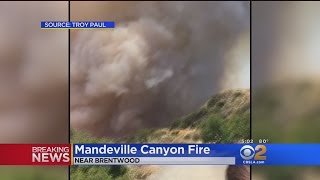 Brush Fire In Brentwood Burns Within 200Feet Of Homes Firefighters Say [upl. by Oiramad]