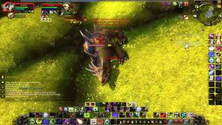 Unholy DK PvP  Patch 505  Ganking [upl. by Eidnak]