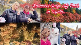 KORANKEI GORGE AUTUMN 2024 CITY PARK IN TOYOTA JAPAN 🇯🇵 WALKING VLOGGA [upl. by Nwahsad930]