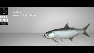 Fishing Planet  Blue Crab Island  Unique  Tarpon  Lure [upl. by Mahoney]