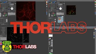 ThorImage®LS Software Walkthrough [upl. by Bari]