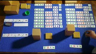 Montessori Multiplication with the Golden Beads units tens hundreds and thousands [upl. by Erl360]