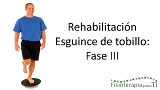 Esguince de tobillo Ejercicios propioceptivos Rehabilitación Fase III  Fisioterapia para TI [upl. by Akalam]