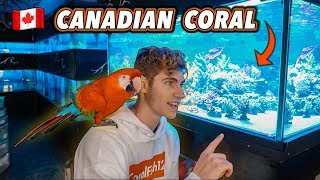 EPIC AQUARIUM ADVENTURE – East Coast Tour Episode 1 [upl. by Ynavoeg765]