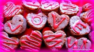 Red Velvet PUPCAKES Homemade Valentines Dog Treats DIY  Snacks with the Snow Dogs 22 [upl. by Bern816]