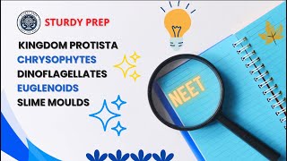 Kingdom Protista  Chrysophytes  Dinoflagellates  Euglenoids  Slime Moulds  neet  subscribe [upl. by Guenzi]