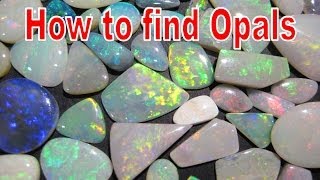 How to find Opals  Coober Pedy  Liz Kreate [upl. by Barger]