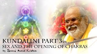 Kundalini Part 3 Sex and the Opening of Chakras  English [upl. by Eittel801]