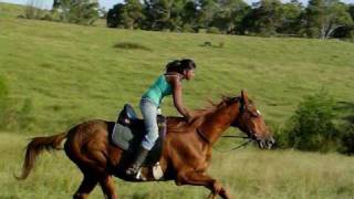 Lady Galloping [upl. by Lesley]