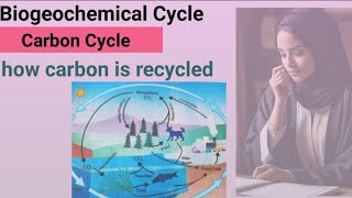 defination of biogeochemical cycle  what is carbon cycle  carbon dioxide recycling [upl. by Cowen906]