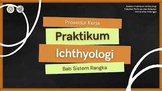 PRAKTIKUM ICHTHYOLOGY 2022 Bab Sistem Rangka [upl. by Bethesda]