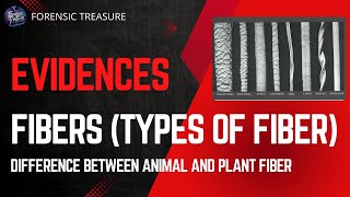 Evidence  Types of Fiber  Difference Between Animal and Plant Fiber [upl. by Job]