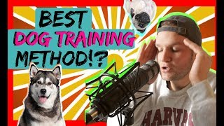 What is the best dog training method No Bad Dogs Podcast with Americas Canine Educator [upl. by Oderfodog]