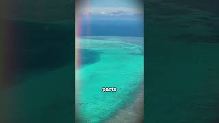 Why is everyone mad about the Philippines new laws  EP1 SouthChinaSea Laws UNCLOS Philippines [upl. by Ahsote901]