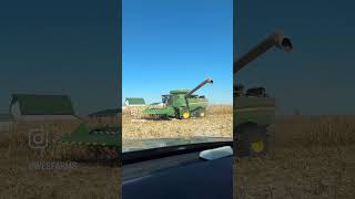 Garrett’s cover of Amarillo Sky while waiting to ride in the combine 🚜 amarillosky midwestmade [upl. by Ornas317]