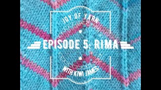 Joy of Yarn Episode 5 Rima Knitting update and the Creative Fibre Festival of Fibres [upl. by Harte]