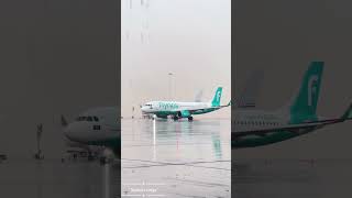 Amazing view of flynas viralvideo shortvideo uae [upl. by Lemrac563]