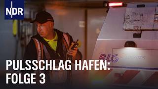 Hafentaucher und Hackbraten E03  Pulsschlag Hafen  NDR Doku [upl. by Acherman]