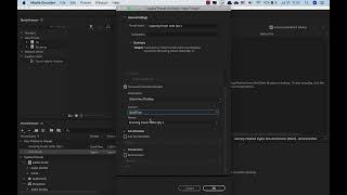 Create custom presets for Media Encoder 2022 [upl. by Giustina]