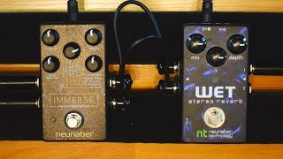 Neunaber Immerse vs Wet Stereo Reverb  Do they sound the same [upl. by Brote]