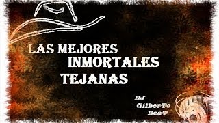 LAS MEJORES INMORTALES TEJANAS  DJ Gilberto Rodriguez [upl. by Urd4]