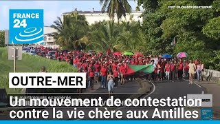 Un mouvement de contestation contre la vie chère aux Antilles • FRANCE 24 [upl. by Eberhard]