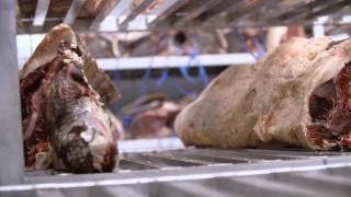 Factory Dry Ageing [upl. by Durston]