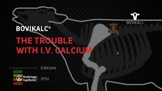 The Trouble with IV Calcium [upl. by Hareenum]