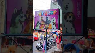 Dog food Drools minivlog bhimavaramvlogsbabbydogfood doglover bhimavaram pets simbasara [upl. by Lori980]